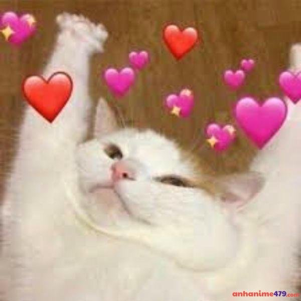 meme bắn tim troll team