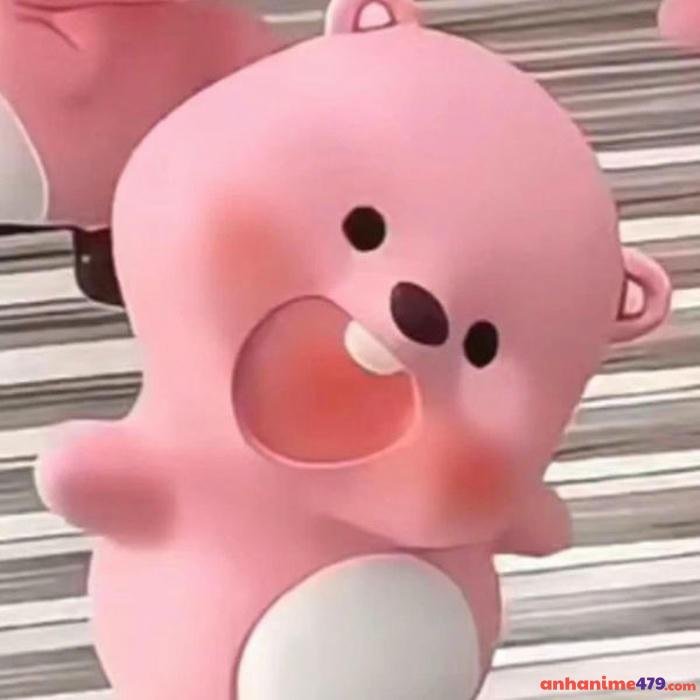 meme bất ngờ gấu hồng