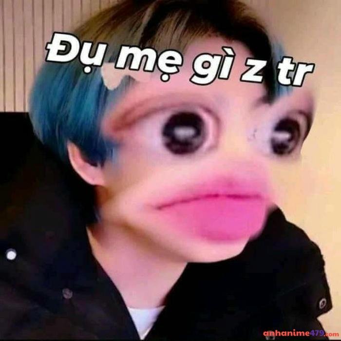 meme bất ngờ idol kpop