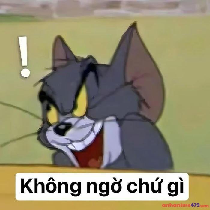 meme bất ngờ mèo tom