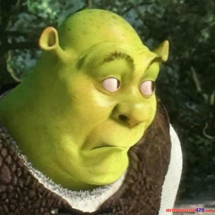 meme bất ngờ shreak