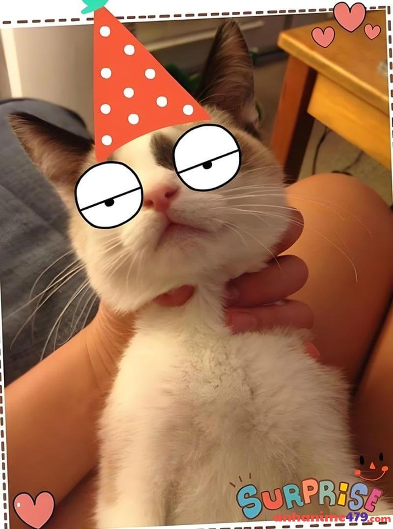 meme bóp cổ chế ảnh