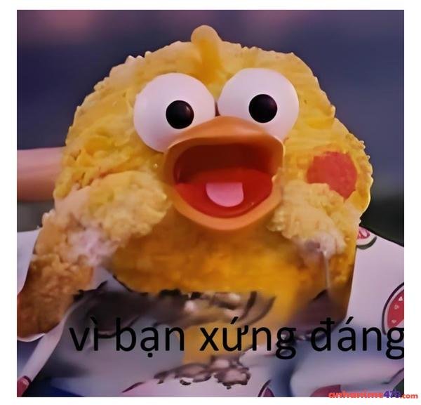 meme bựa