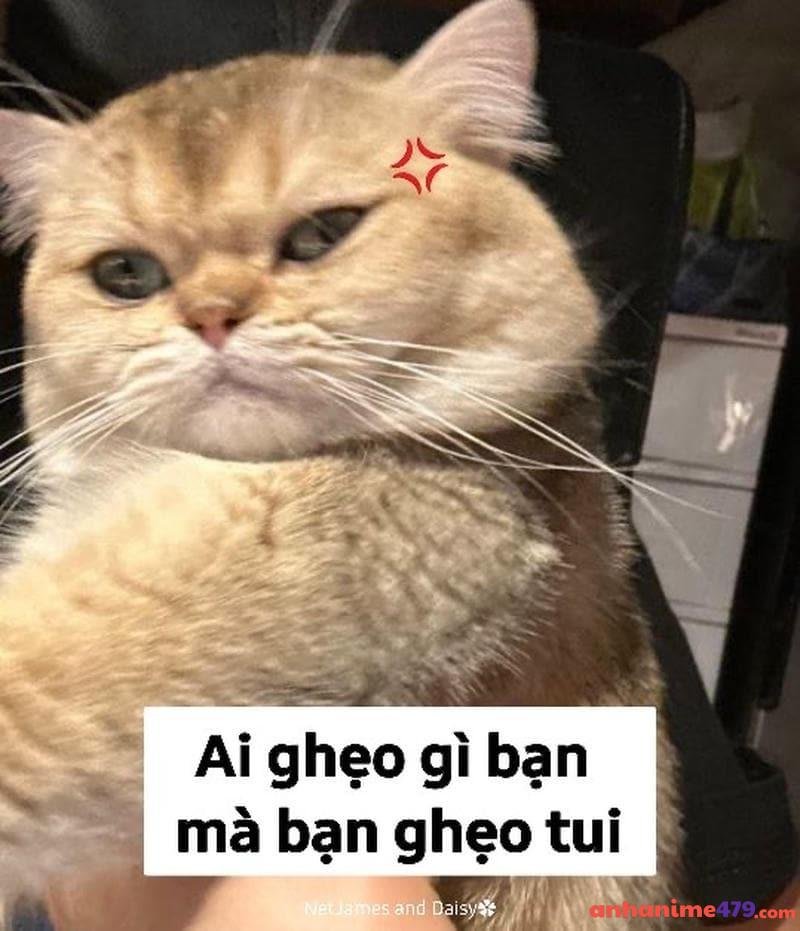 meme bựa hài bựa