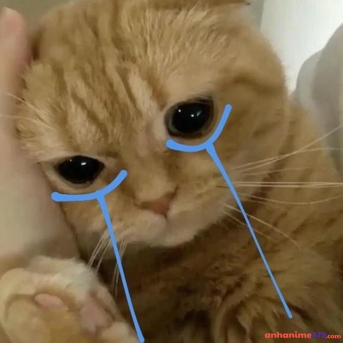 meme buồn cười nhất