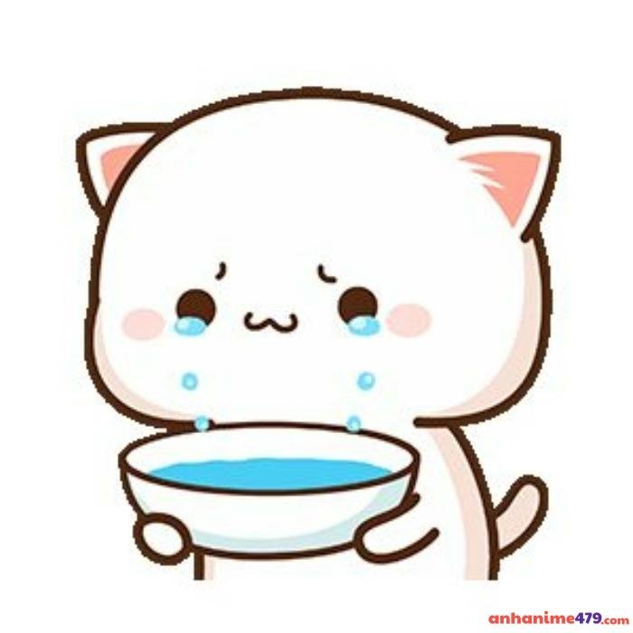 meme buồn khóc thành bát