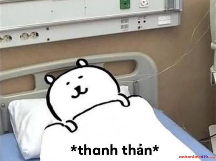 meme buồn ngủ chế buồn cười