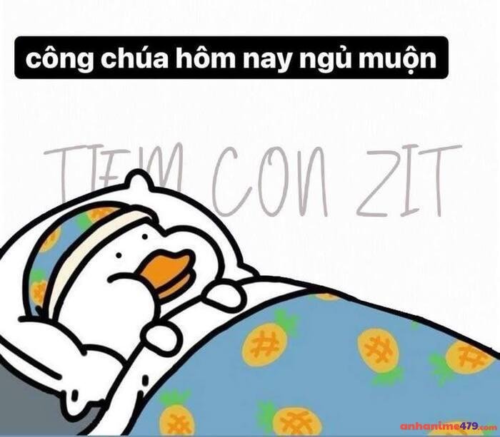 meme buồn ngủ hình ảnh hài