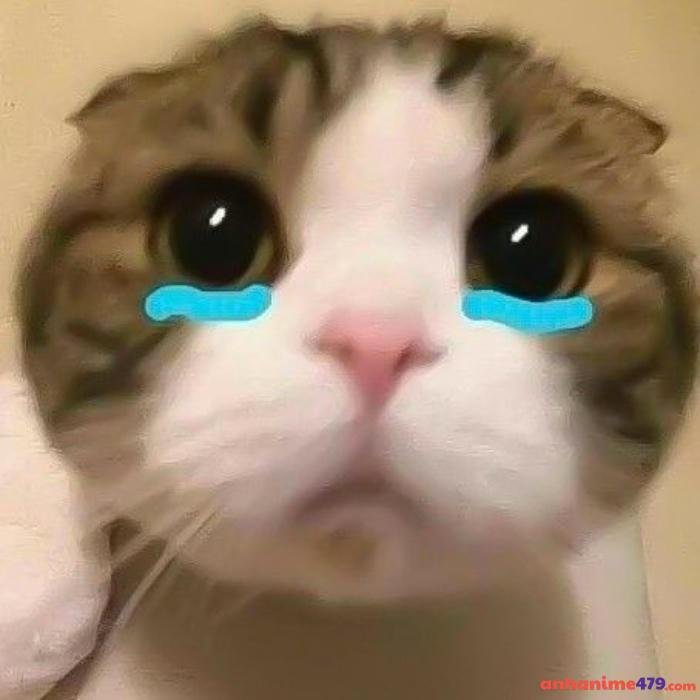 meme buồn tui than