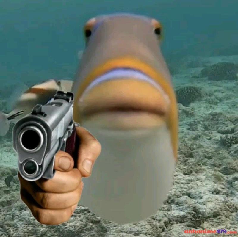 meme cầm bắn súng