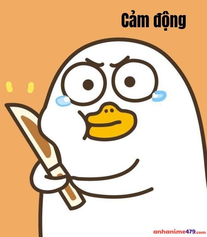 meme cảm động vịt