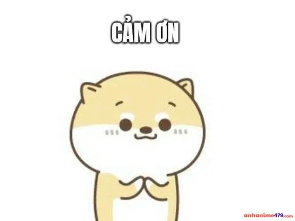 meme cảm ơn cams