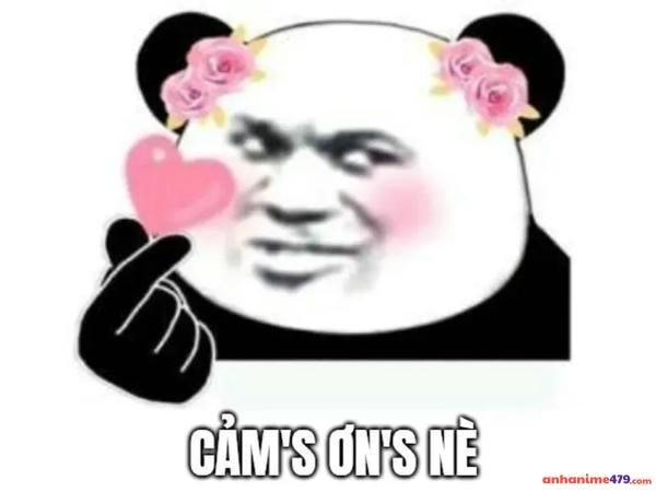 meme cảm ơn gau tha tim