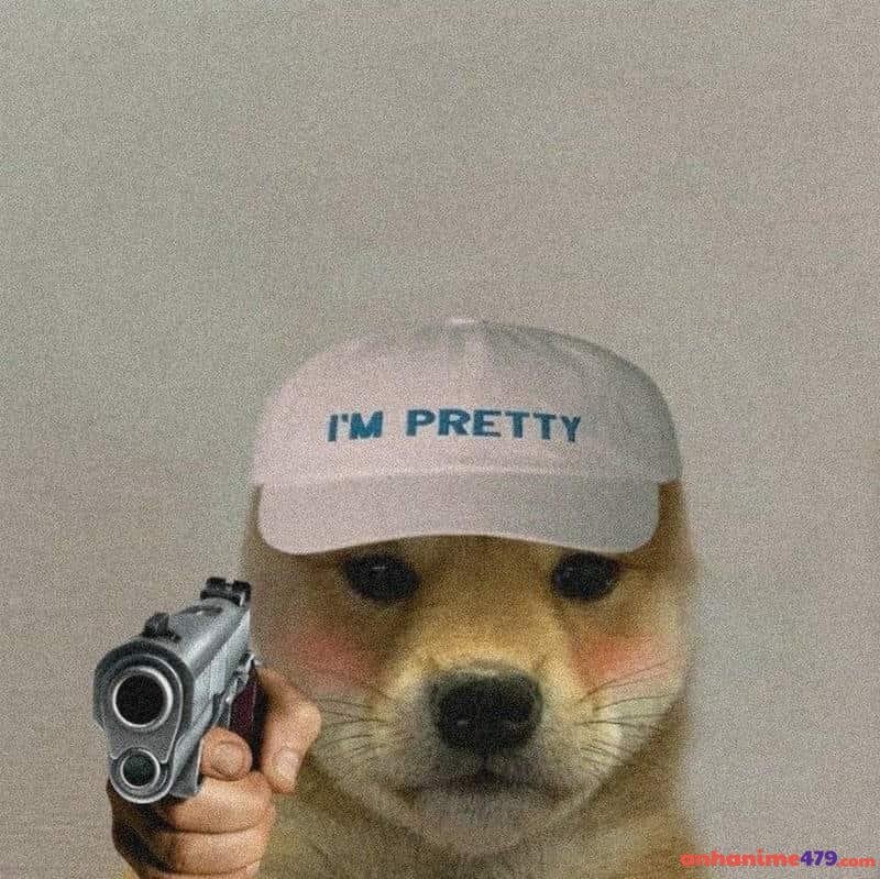 meme cầm súng ảnh