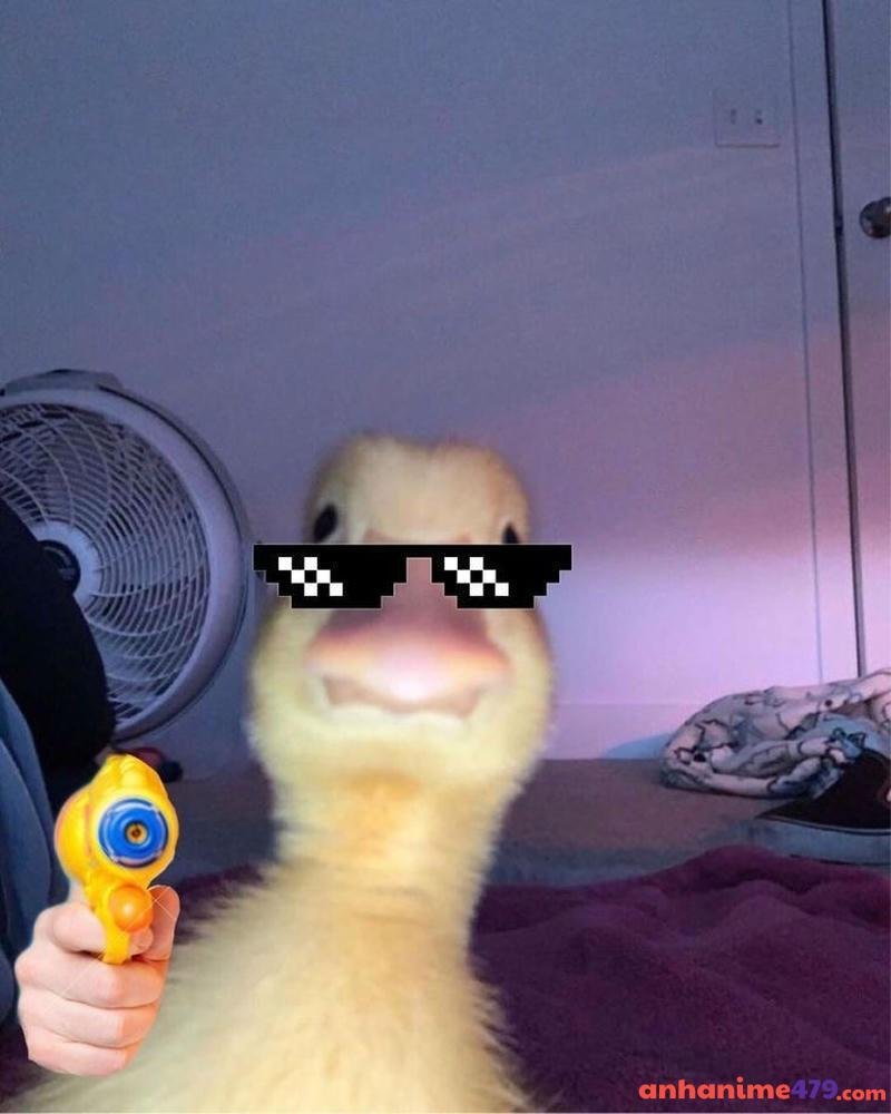 meme cầm súng bòm