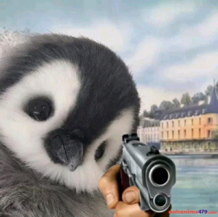 meme cầm súng bựa chế