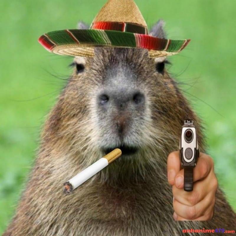 meme cầm súng chế