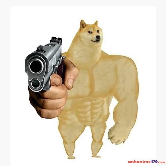 meme cầm súng chó
