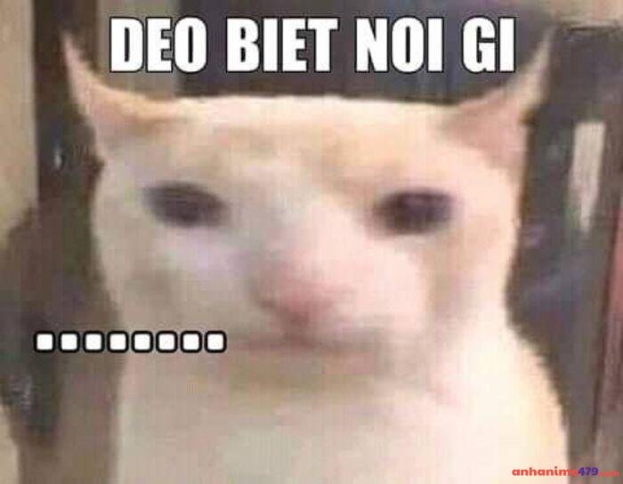 meme cạn lời hài hước siêu hài