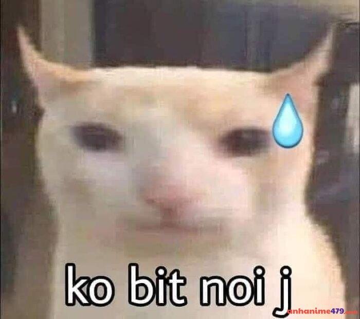 meme cạn lời hài hước