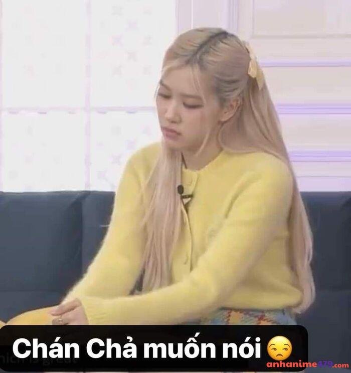 meme cạn lời hài nhất