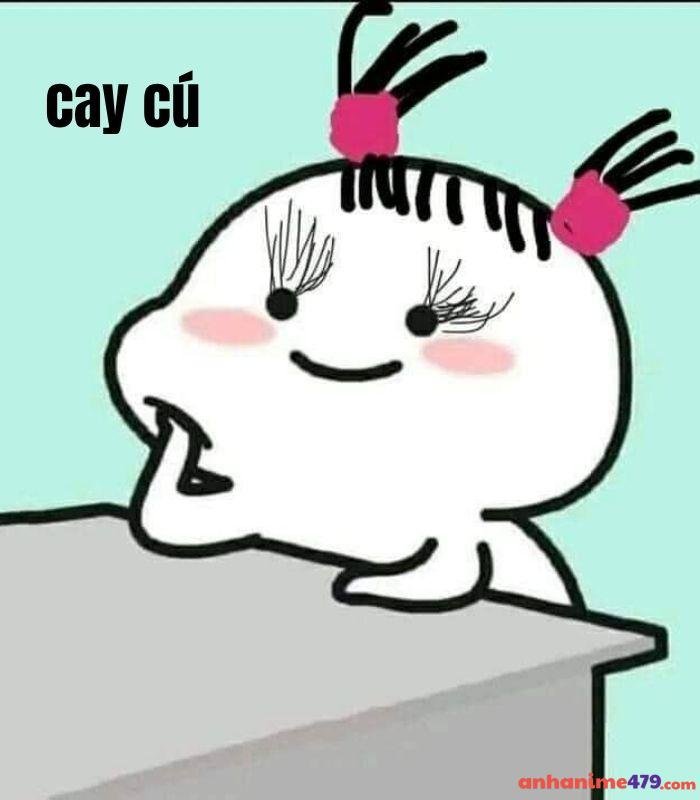 meme cay cú cute