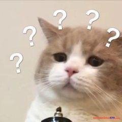 meme chấm hỏi