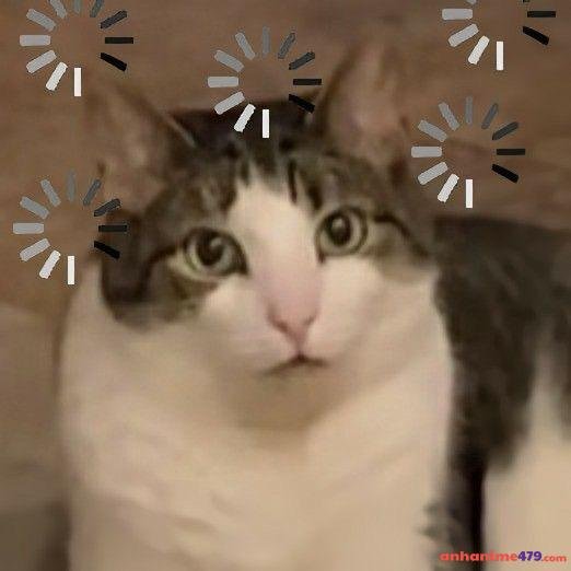 meme chấm hỏi vô cùng