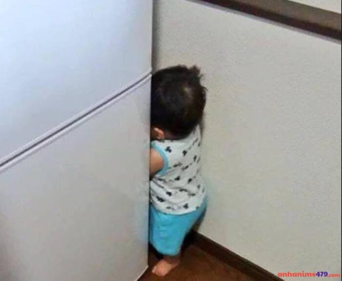 meme chán cực hài nhất