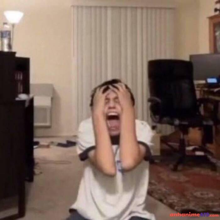 meme chán hài hước hài nhất