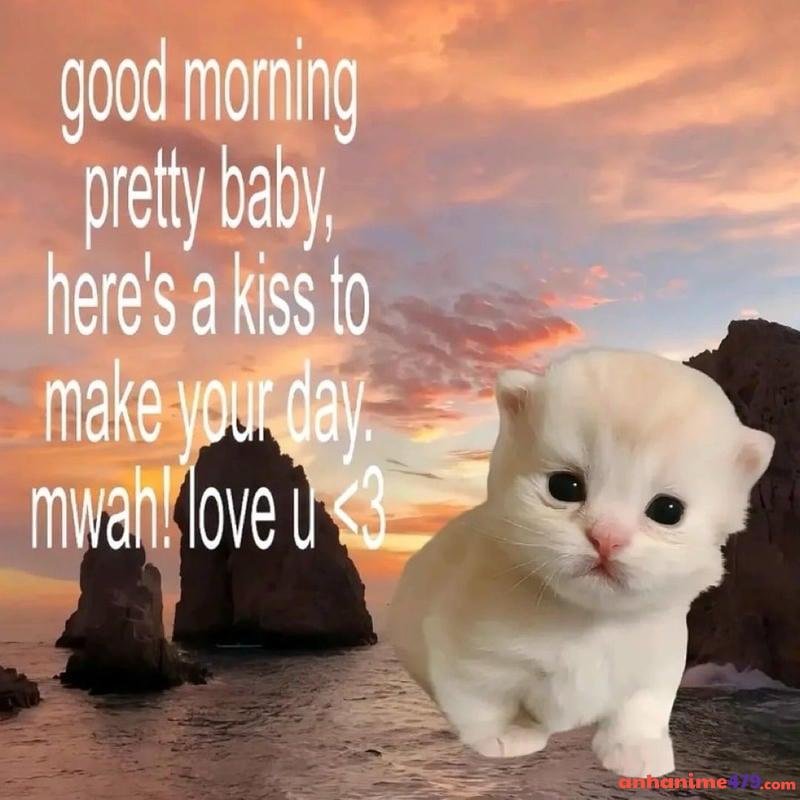 meme chào buổi sáng baby