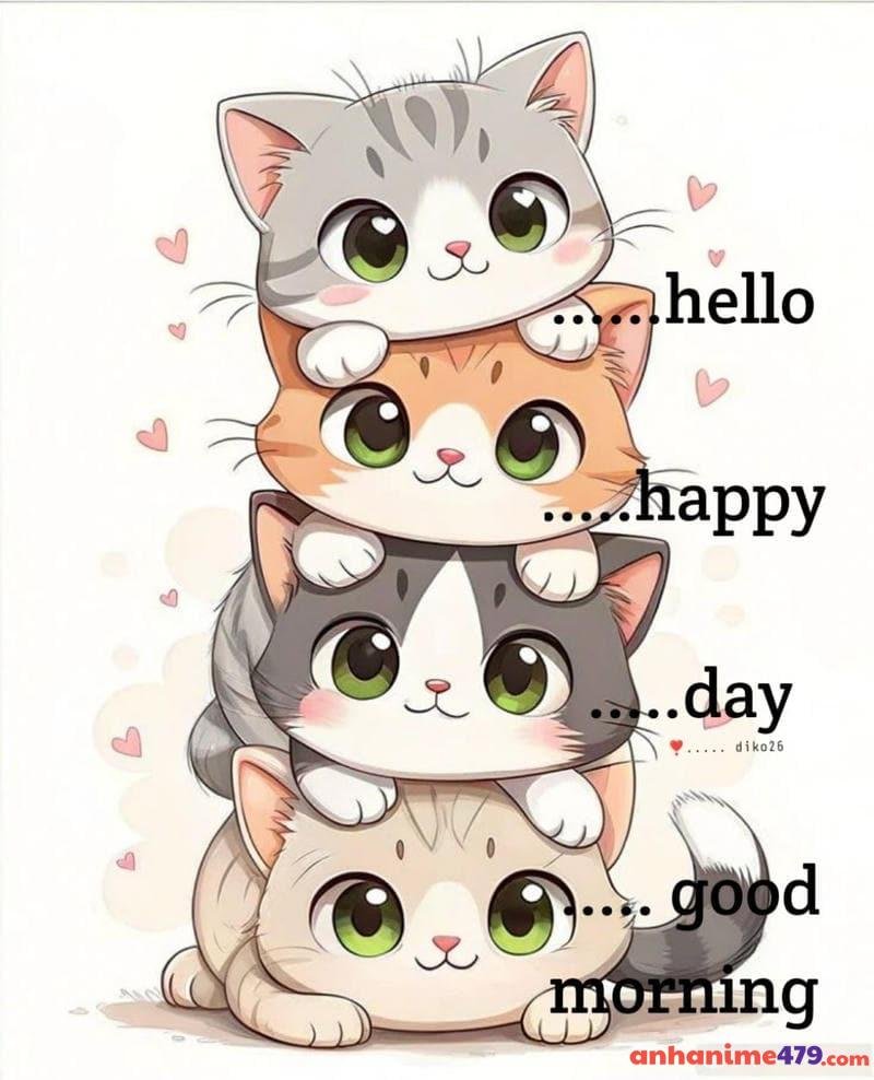 meme chào buổi sáng bộ meo