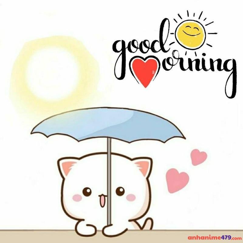 meme chào buổi sáng đáng yêu