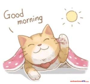 meme chào buổi sáng meo