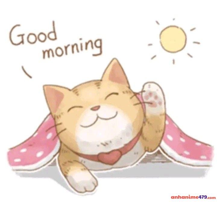 meme chào buổi sáng meo