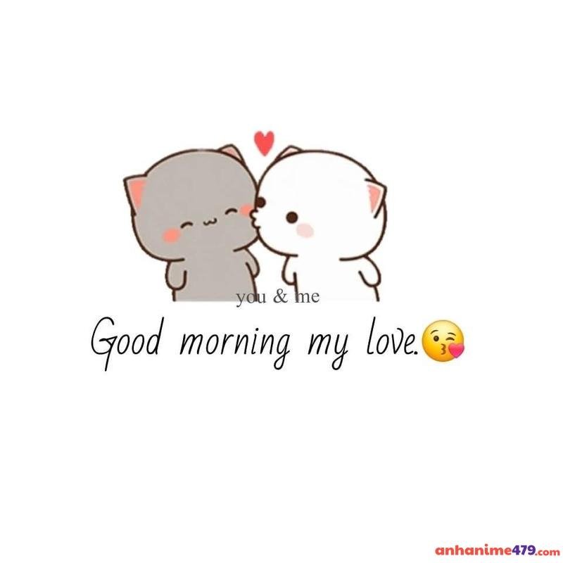 meme chào buổi sáng my love