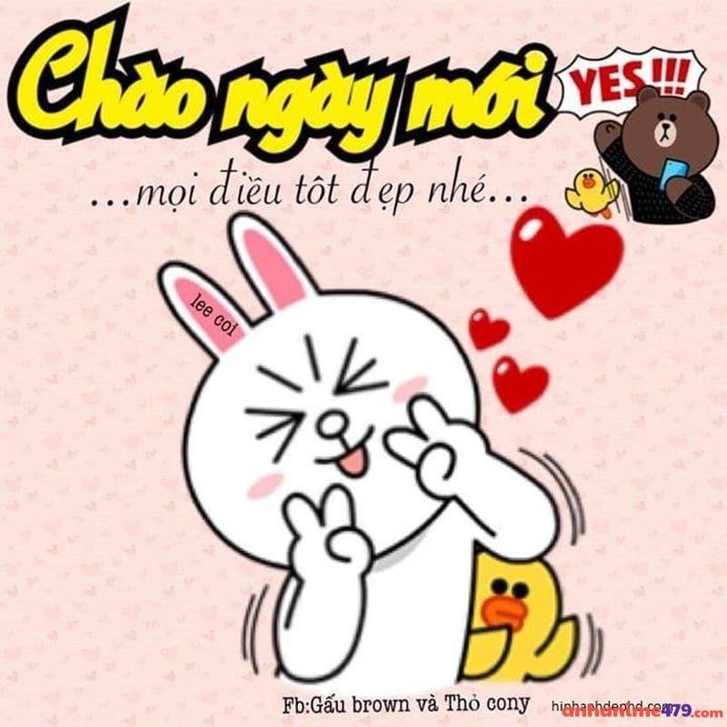 meme chào buổi sáng ngày mới