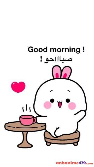 meme chào buổi sáng thỏ