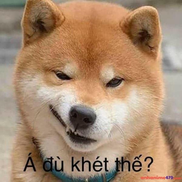 meme chê á đù