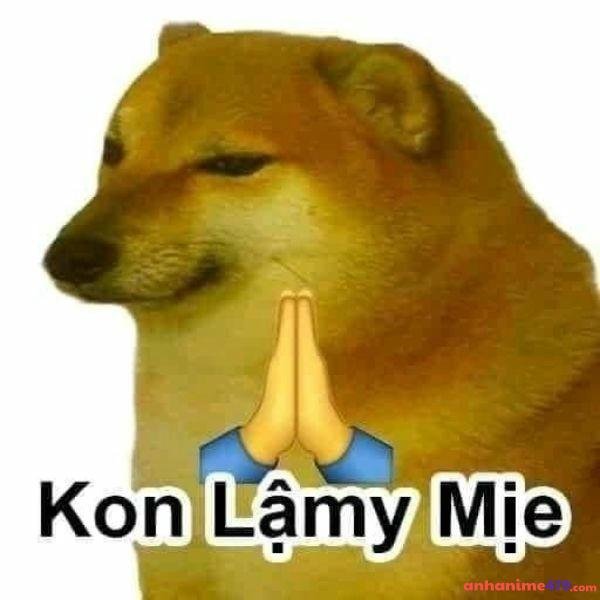 meme chê lậy mẹ