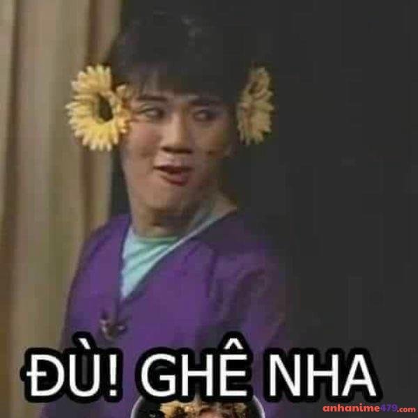 meme chê nha