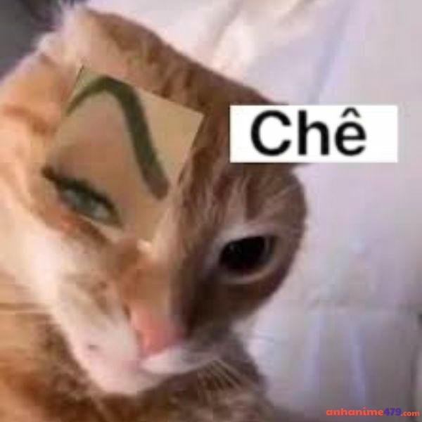 meme chê nháy mắt