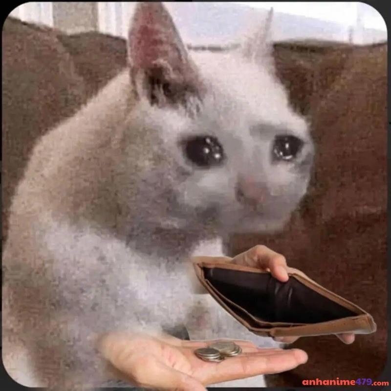 meme chỉ tay bựaa