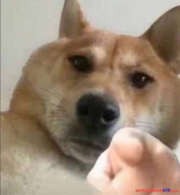 meme chỉ tay