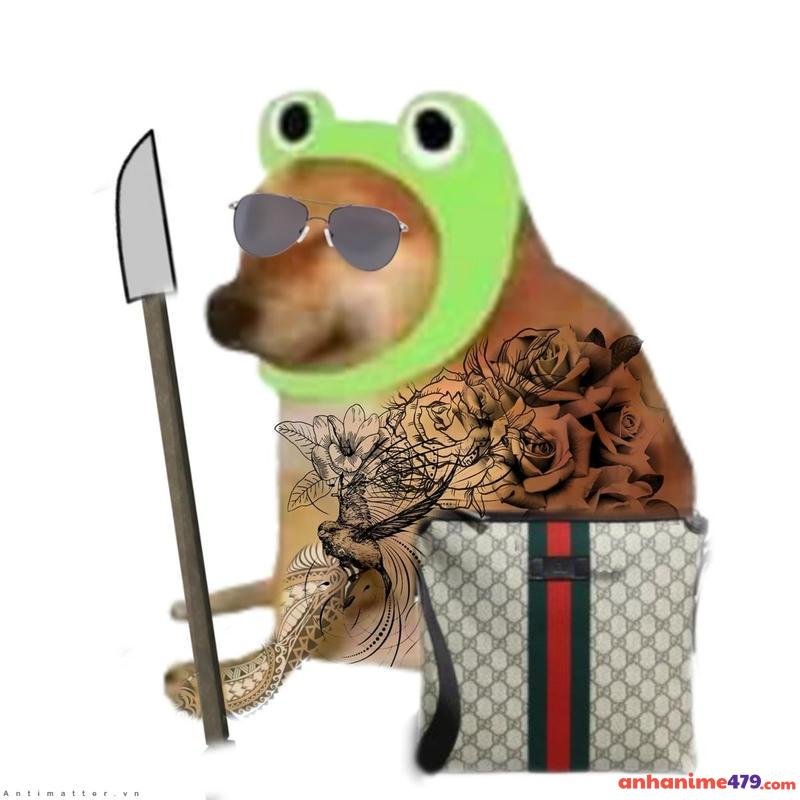 meme chó bựa sang