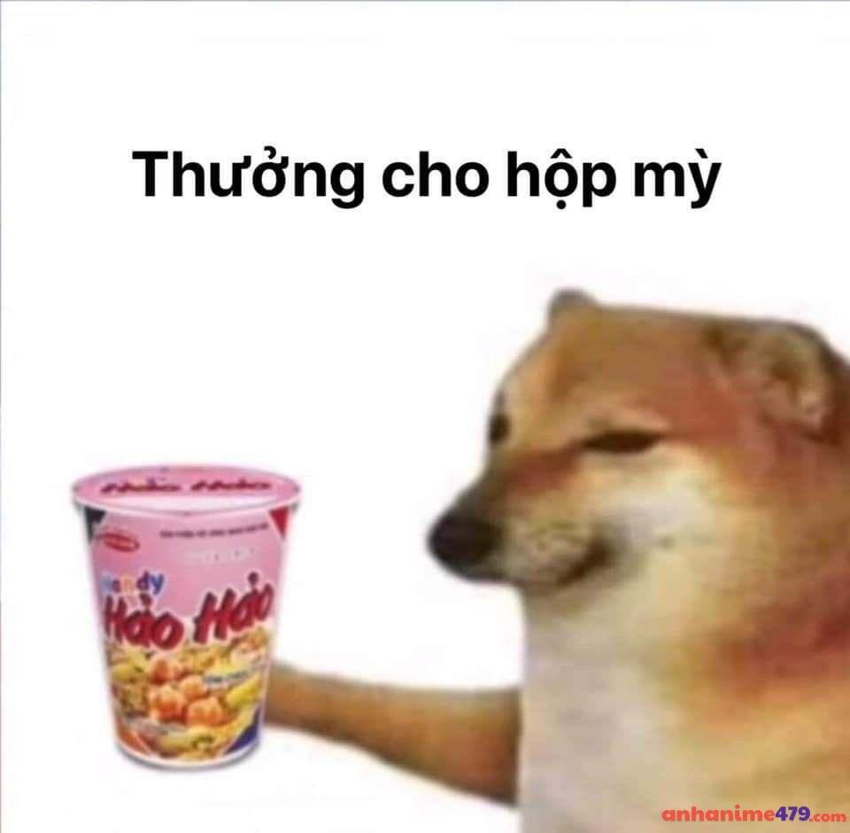 meme chó bựa thưởng