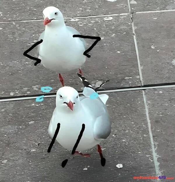 meme chống tay cực chất