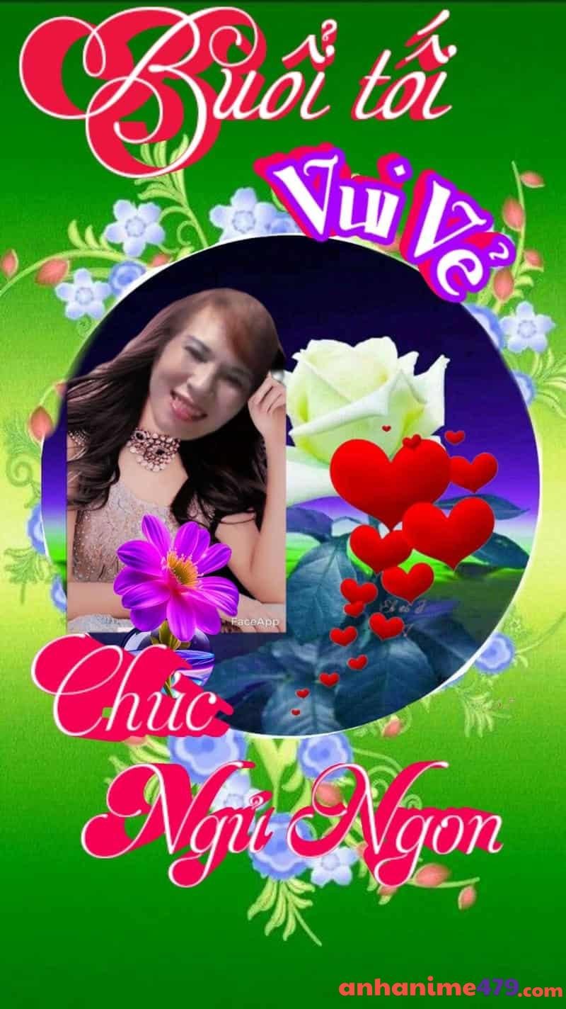 meme chúc ngủ ngon bựa hài