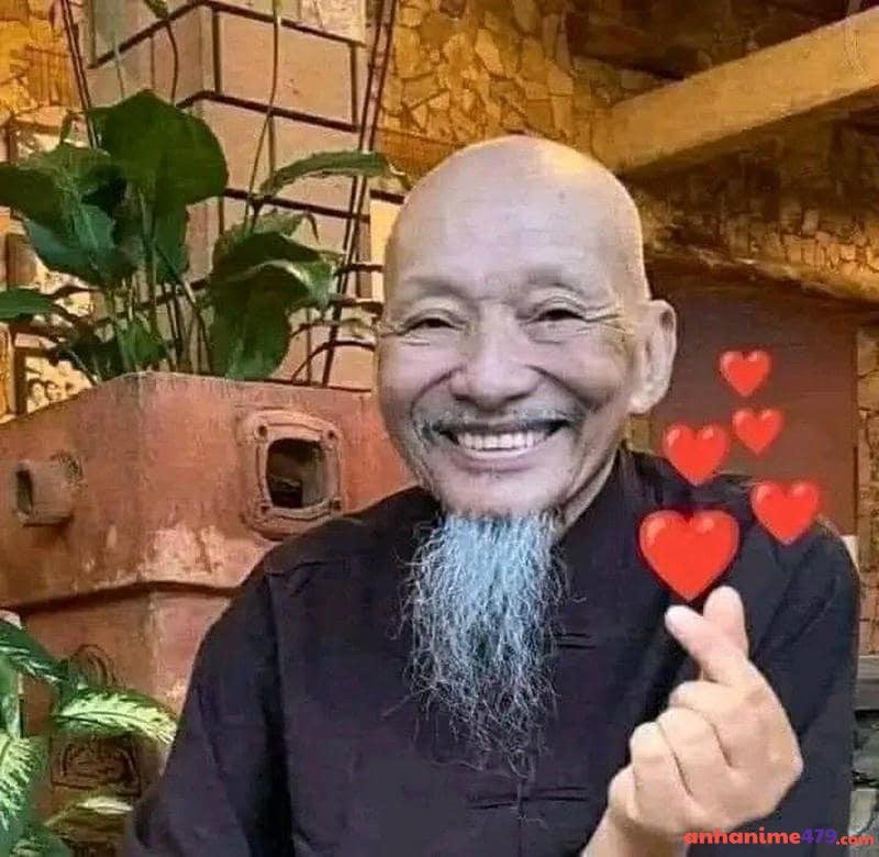 meme chúc ngủ ngon