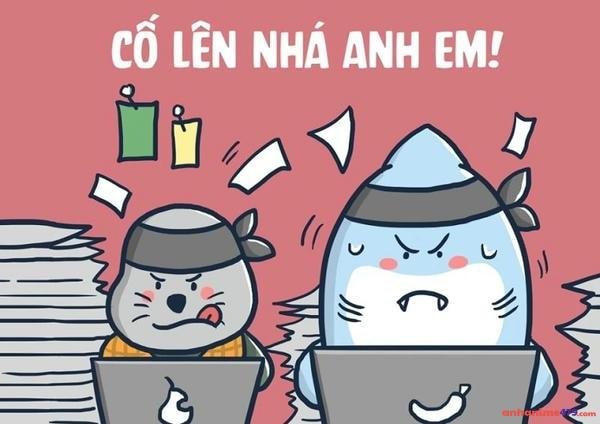 meme cố lên anh em ơi
